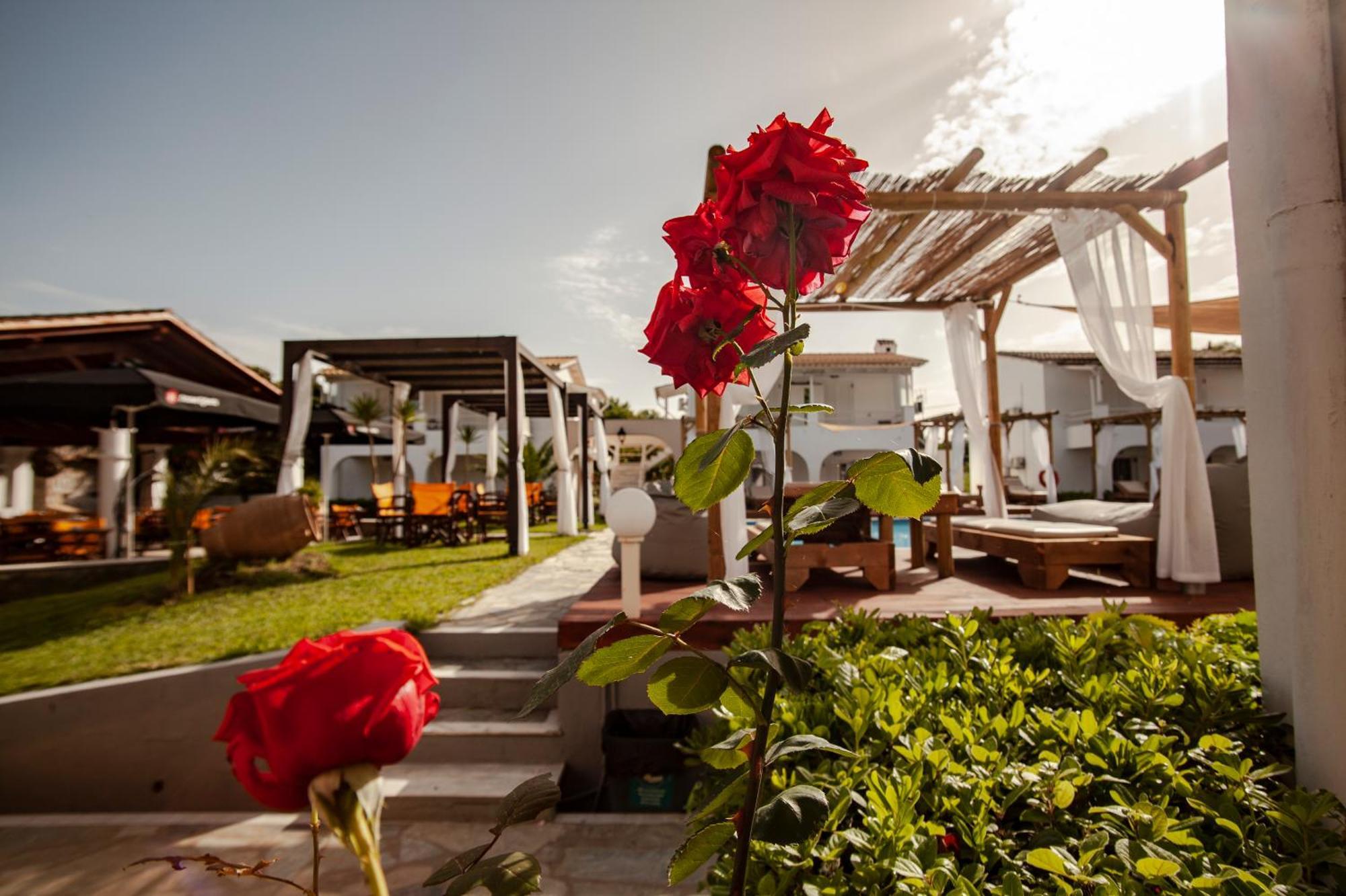 Zografia Aparthotel