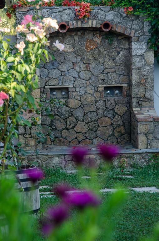 Zografia Aparthotel Corfu (city)
